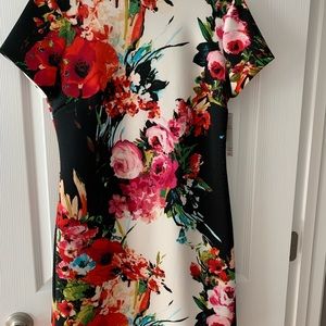 Floral Dress size 10 NEW